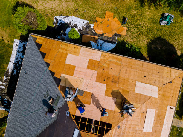 Best Roofing Contractor Near Me  in Hampton, VA
