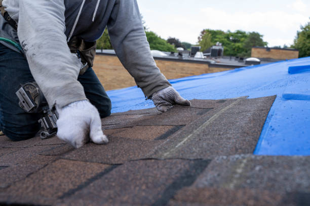 Best Roof Replacement Cost  in Hampton, VA
