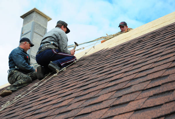 Best Roof Gutter Cleaning  in Hampton, VA