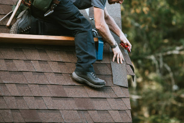 Best Storm Damage Roof Repair  in Hampton, VA